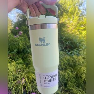 Stanley Stainless Steel Ice Flow Flip Straw Tumbler in Pale Lime 30oz NWT